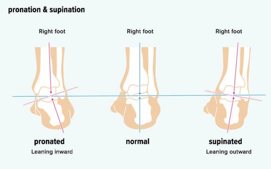 pronation and supination