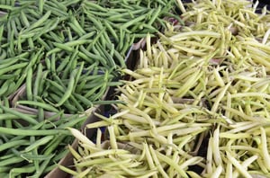 Green and wax beans (binomial name of both cultivars Phaseolus vulgaris) on display at a farmer's market