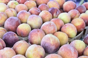 Peaches (binomial name Prunus persica) from southern Illinois on display at farmer's market in northern Illinois near the end of August (selective focus)