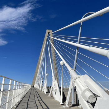 Arthur ravenel bridge in south carolina