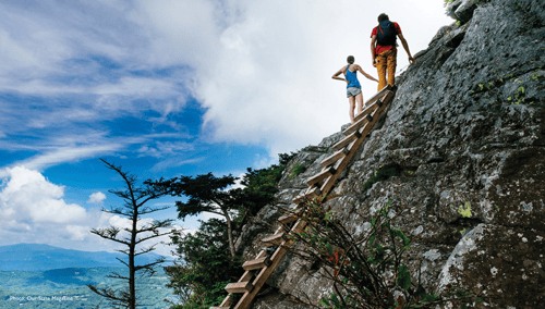 a ladder leading to the top of the grandfather mountain trail in North Carolina