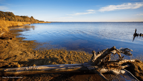 water view from an inlet in Nags Head Woods Preserve in North Carolina